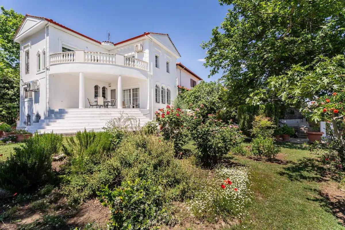 Home Katerina Kymina Luaran gambar