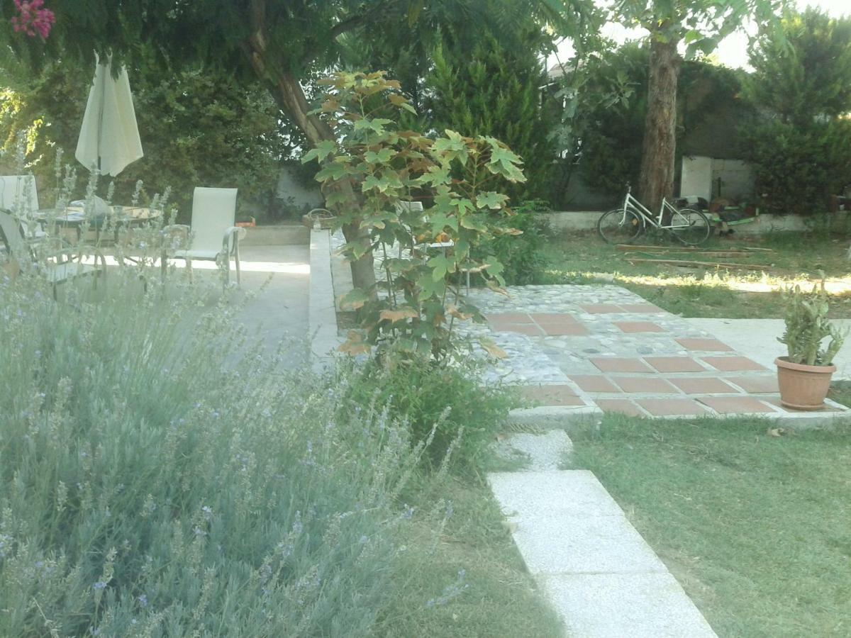 Home Katerina Kymina Luaran gambar