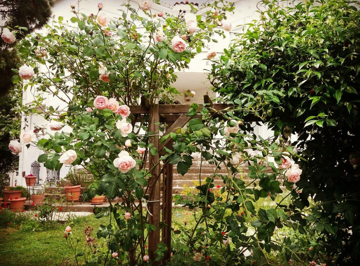 Home Katerina Kymina Luaran gambar