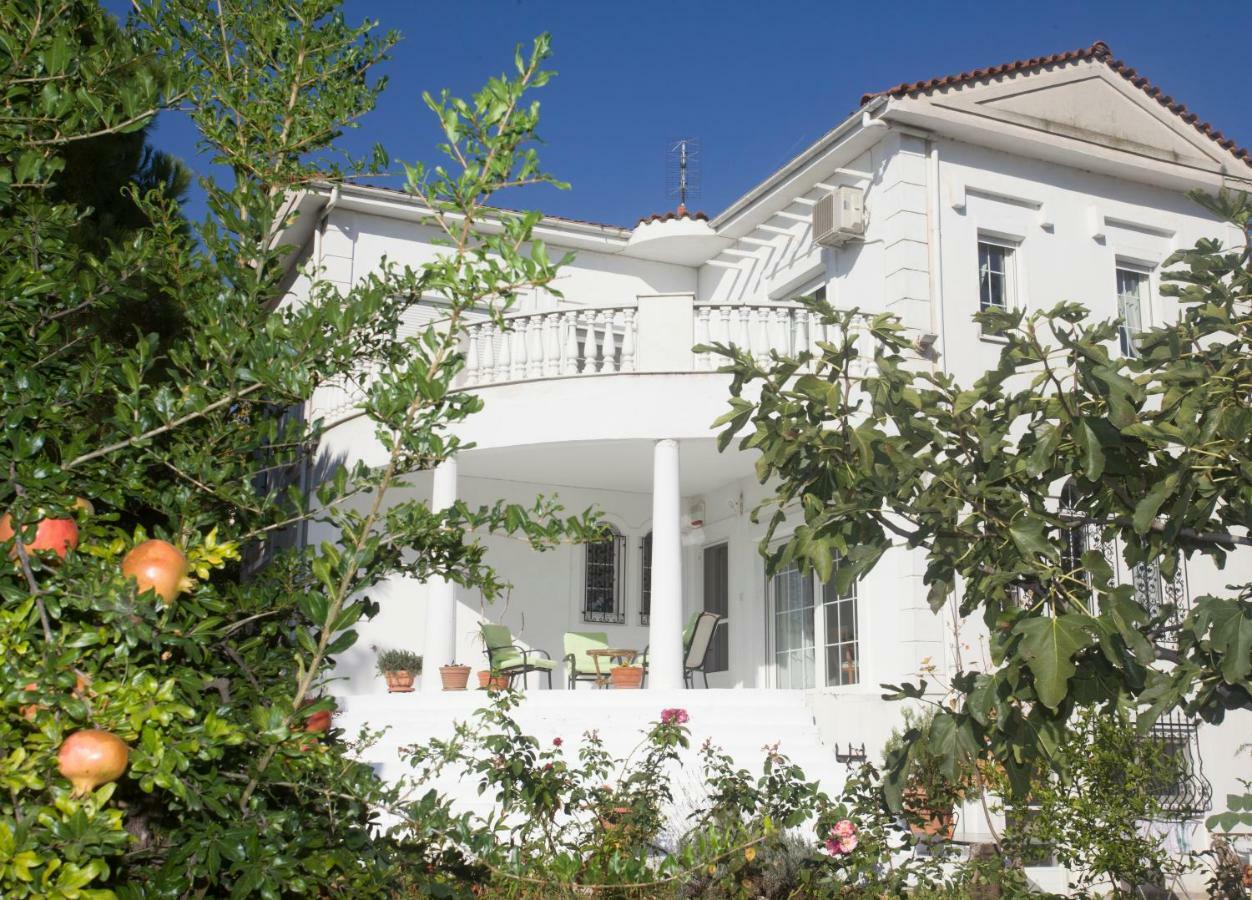 Home Katerina Kymina Luaran gambar